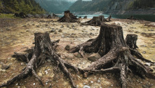 The authors estimate land degradation costs more than 10% of annual global GDP in lost ecosystem services